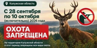 В Калужской области охота приостановлена с 28 сентября по 10 октября 2026 года включительно - Газета Козельск