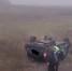 Водитель погиб в перевернутой машине на трассе в Самарской области - Комсомольская Правда Самара
