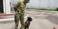 В преддверии дня ОМОН Воронежские журналисты поближе познакомились с четвероногим сотрудником Росгвардии - Росгвардия