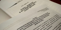 О необходимости проведения предварительных анализов семян лесных растений - Рослесозащита Республики Адыгея