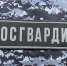 В Саранске росгвардейцами пресечен факт мелкого хулиганства - Росгвардия