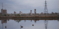 Самарский Волгарь накрыло сероводородом с превышением нормы в 109 раз - Комсомольская Правда Самара