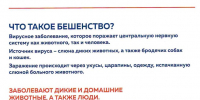 О возникновении очага бешенства - Администрация г. Подольск