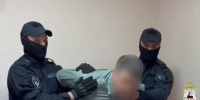 Организованную группу будут судить за хищение льготного леса на 72 млн рублей - НИА Нижний Новгород
