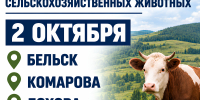Важная информация для владельцев сельскохозяйственных животных. - Администрация Черемховского района