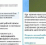 Фейковые сообщения о задолженности по налогам стали поступать воронежцам - Обозреватель.Врн