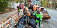 Вологодские коммунальщики вывезли с улиц более 23 тыс. куб. метров смета и листвы - Вологда.РФ