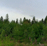после - Regions.Ru