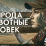 «Природа. Животные. Человек»: книжная выставка, посвященная Дню защиты животных (4 октября) - Научная библиотека им. В.Д. Федорова