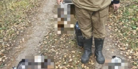 В Поморье задержали автомобиль, набитый браконьерами - Tv29.Ru