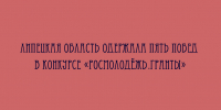 Пять проектов из Липецкой области стали победителями конкурса «Росмолодёжь.Гранты» - Народное слово