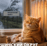 тепло в Ершичский округ - фото - 1 - Ершичский район