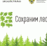 В России стартует восьмой сезон всероссийской акции «Сохраним лес» - Министерство природных ресурсов
