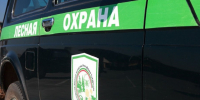 В Минлесхозе РТ подвели итоги осуществления федерального государственного лесного контроля (надзора) и лесной охраны за 9 месяцев 2026 года - Министерство лесного хозяйства