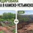 В Камско-Устьинском районе ликвидировали свалку отходов - Министерство экологии