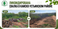 В Камско-Устьинском районе ликвидировали свалку отходов - Министерство экологии