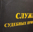 Предновогодний дебош обернулся для аткарчанина уголовным штрафом - УФССП