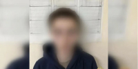 В Кировске 17-летний подросток сжёг «Ниву» и прицеп охранника парка - КП Екатеринбург