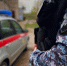 Росгвардейцы задержали междуреченца, повредившего имущество финансовой организации - Росгвардия