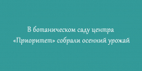 В центре «Приоритет» в ботаническом саду завершился сбор осеннего урожая - Народное слово