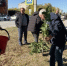 Сотрудники МАУ ФК и спорта Карасукского округа вместе со спортсменами высадили деревья - Карасукский район