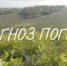 Прогноз погоды с 2 по 4 октября - Кувандыкский городской округ