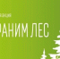 Дагестан присоединился к Всероссийской акции «Сохраним лес» - Дагестанская правда