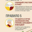 Фото: Роспотребнадзор - Вологда-поиск