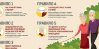 Фото: Роспотребнадзор - Вологда-поиск