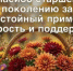 С Днём пожилого человека! - Администрация Северного управленческого округа