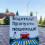 Госавтоинспекторы в октябре усилят контроль на дорогах - Сетевое издание Трудовое знамя