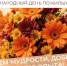 Дорогие земляки, представители мудрого поколения!. - Свечинский муниципальный округ