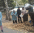 Территориальные общественные самоуправления приступили к наведению порядка на своих территориях - Администрация г. Барнаул