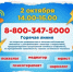 В Башкортостане пройдёт горячая линия для семей - Министерство семьи, труда и соцзащиты населения