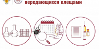 Осень, а клещи не дремлют. За неделю укусили более 1,3 тысячи человек - 47 новостей