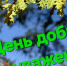 . - Клинико-диагностический центр