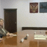Екатерина Кузнецова назначена врио мэра Тулуна - Baikal24.Ru