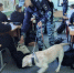 JPEG Файл - УМВД Архангельской области
