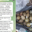 Сын главврача кожвендиспансера Костюк посмертно награжден орденом Мужества - Ракурс 32