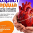 5 шагов к здоровью сердца - Городецкий муниципальный округ