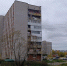 По словам архангелогородки, собаку выкинули с шестого этажа на Воронина, 32 к. 3 | Источник: читатель 29.RU - 29.Ru