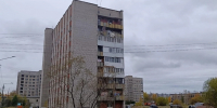 По словам архангелогородки, собаку выкинули с шестого этажа на Воронина, 32 к. 3 | Источник: читатель 29.RU - 29.Ru