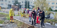 «Зелёный рекорд» в Умбе: вместе делаем округ зеленее и красивее! - Терский район