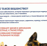 О возникновении очага бешенства - Pro-Podolsk.Ru