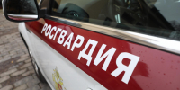 В Петербурге росгвардейцы задержали мужчину за удержание возлюбленной в подвале - Spbdnevnik.ru