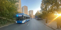 Троллейбус сбил 8-летнюю девочку в Новосибирске - Gorsite.Ru