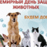 Поможем вместе животным, оставшимся без дома! - Макарьевский район