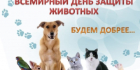 Поможем вместе животным, оставшимся без дома! - Макарьевский район
