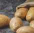 На первый вкусный фестиваль приглашает подмосковная картофельная столица - ОКА-ФМ