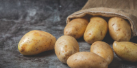 На первый вкусный фестиваль приглашает подмосковная картофельная столица - ОКА-ФМ